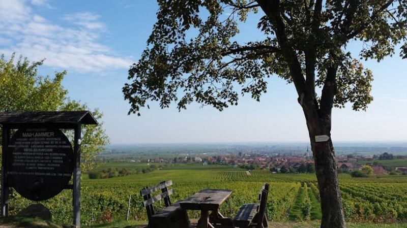 A picnic spot along a hiking trail just outside the town of Sankt Martin in the heart of the wine country. Photograph: Fionnuala Zinnecker