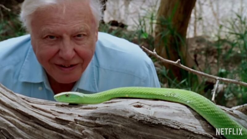 David Attenborough: A Life on Our Planet