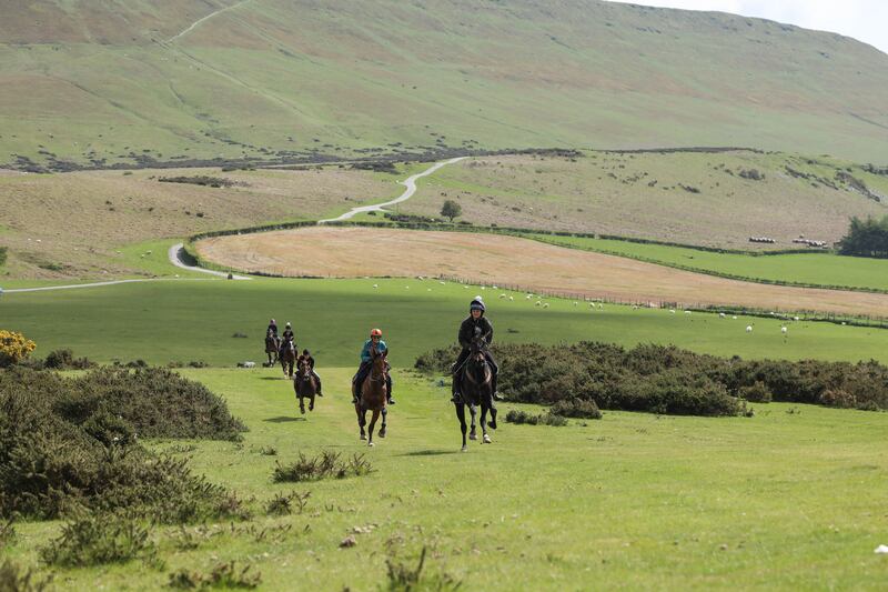 Trekking at Trans Wales in the Brecon Beacons and Black Mountains
