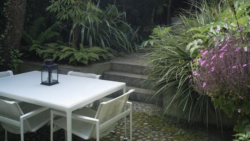 Bernard Hickie’s city garden