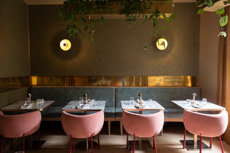 Goldie, Cork. Photograph: Clare Keogh