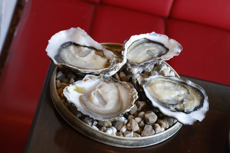 The oyster selection