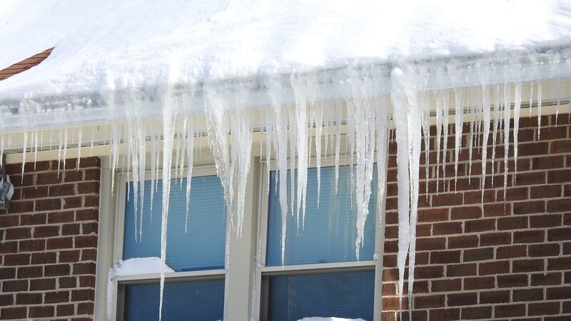 The big freeze of January 1982 was a dire enough emergency to warrant a relaxation of normal immersion rules