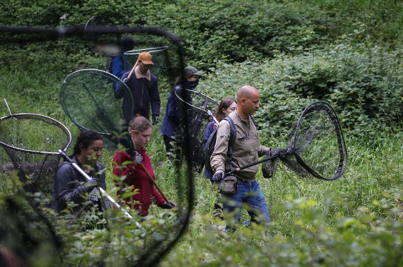 Dr Simone Ciuti leads the deer-tagging team. Photograph: Crispin Rodwell