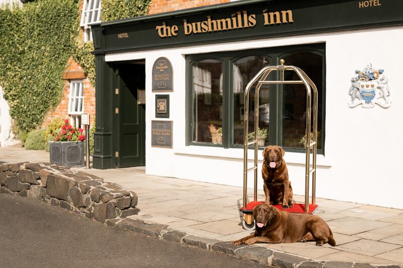 Bushmills Inn welcomes your furry friend to stay too