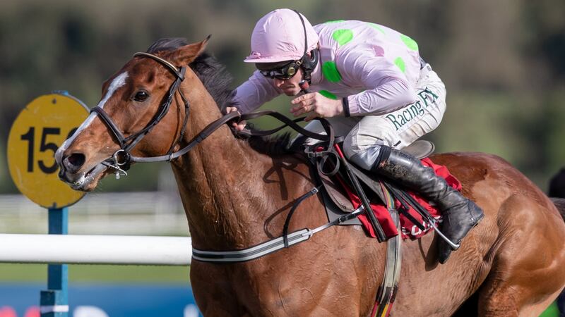 Faugheen: history beckons for the old-stager as  no horse has ever won both the Champion and the Stayers at Cheltenham. Photograph: Morgan Treacy/Inpho