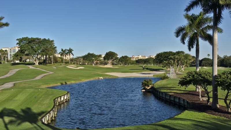 Golfers have drowned trying to retrieve balls from water hazards; alligators live on some courses in Florida; and aggressive warthogs may be encountered on South African courses