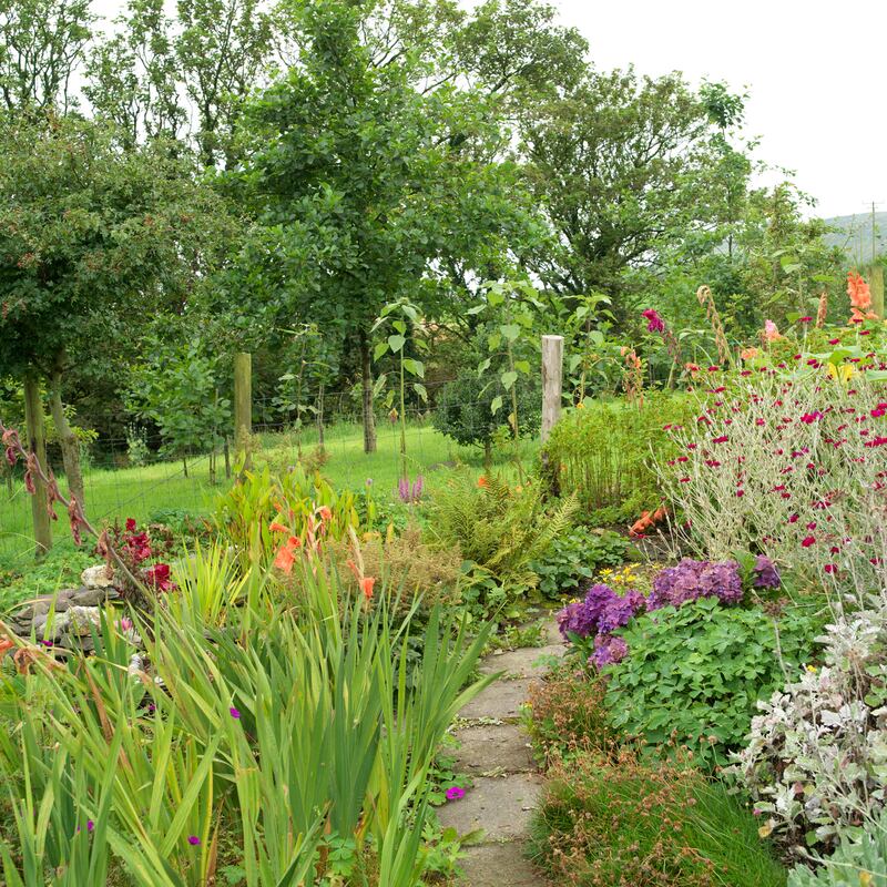 Photograph: Richard Johnston