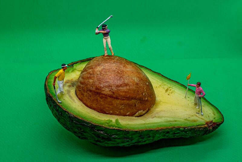 Jacki Gordon, Avocaddy