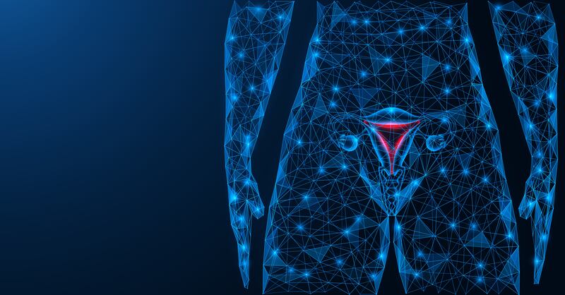 When it comes to the menopause, separating out the genuinely helpful products from those proffered by opportunists is a task in itself. Illustration: iStock