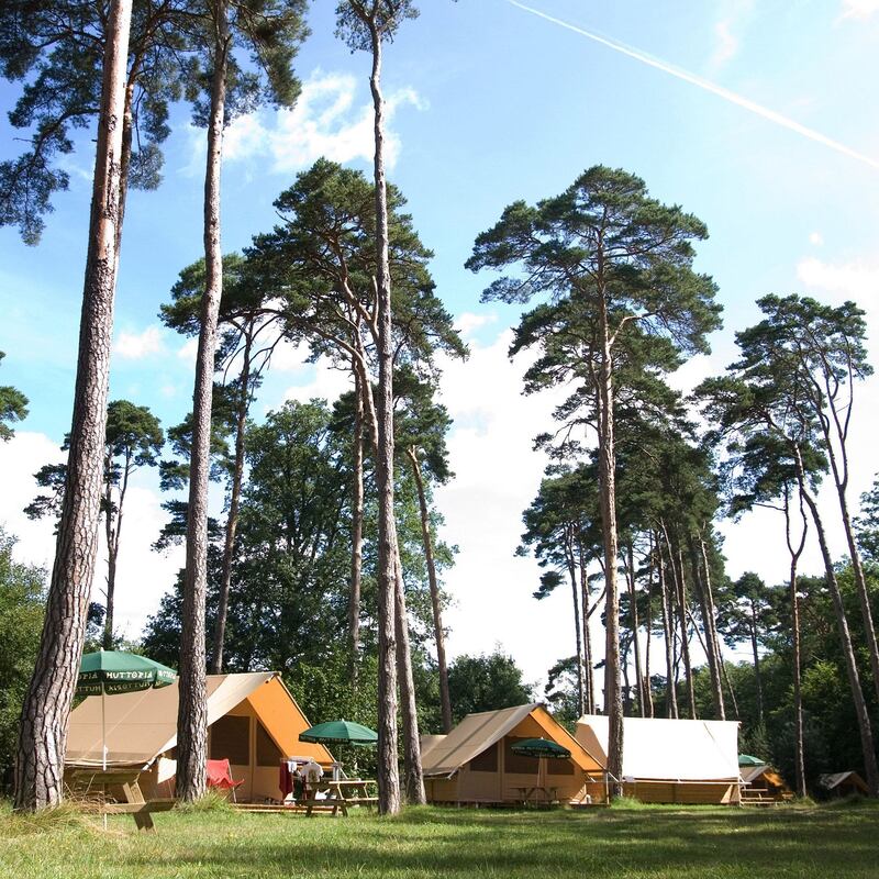 Camping: outdoors and socially distanced. Photograph: Getty