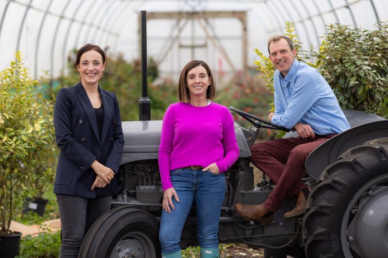 This week, Dineen meets Killarney farmer and TikTok sensation Karen Moynihan, who has 65,000 followers and counting. Photograph: Naoise Culhane