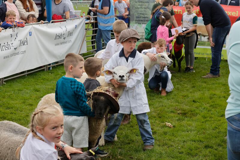 Sam Coldrick with hisfive-month-old Texel lamb named Prince George compete in the pet lamb class at the Virginia Show in Cavan. Photograph: Alan Betson/The Irish Times