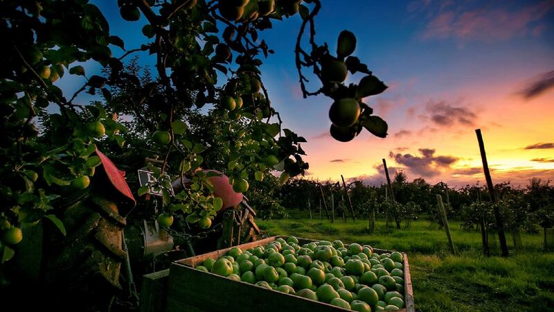 Armagh’s annual Food and Cider Weekend is back, from September 9th