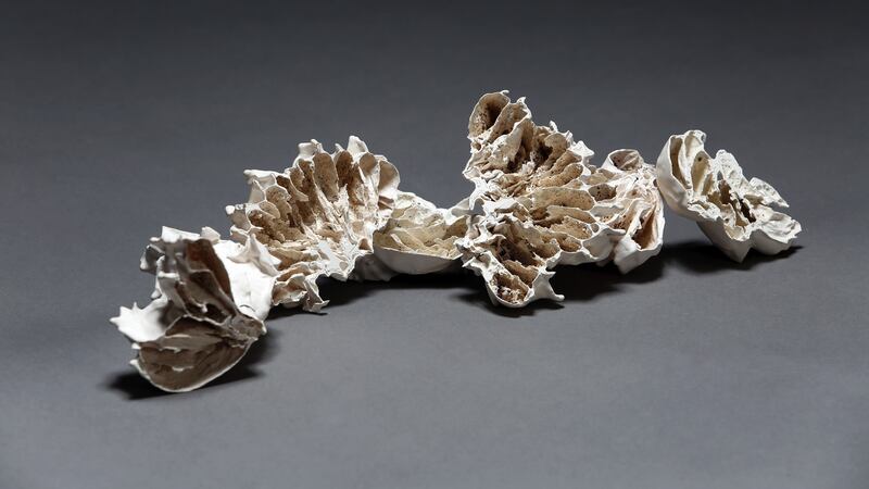 Ceramic-on-glass installation by NCAD student Sophie Curran, €150, at Gallery Zozimus