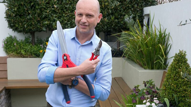 On the home front: landscape gardener Kevin Dennis in his garden. Photograph: Dave Meehan