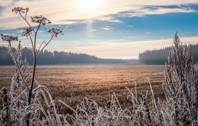 A 10- to 15-minute walk round the block is enough to get some benefit from winter daylight. Photograph: Riekkinen/iStock