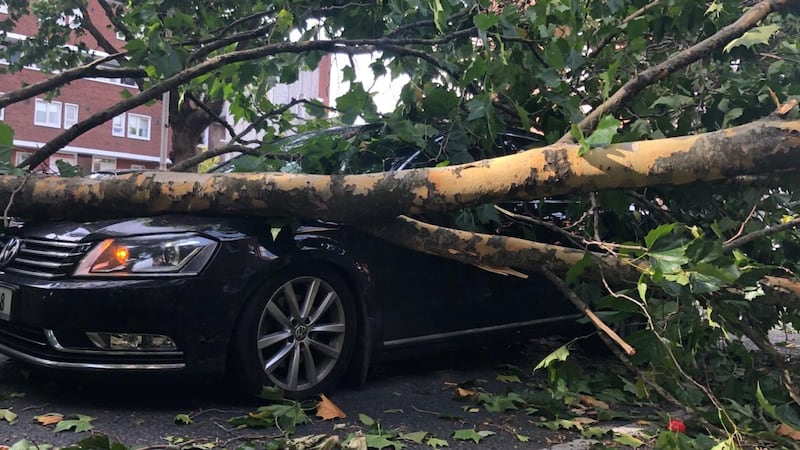 A fallen tree on a car at Cuffe Street, during Storm Ali. Photograph: Daithí Walsh