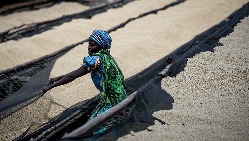 Buliza, Rwanda - trips to origin for Java Republic are about meeting the people who grow their coffee beans, getting to know them and build meaningful relationships