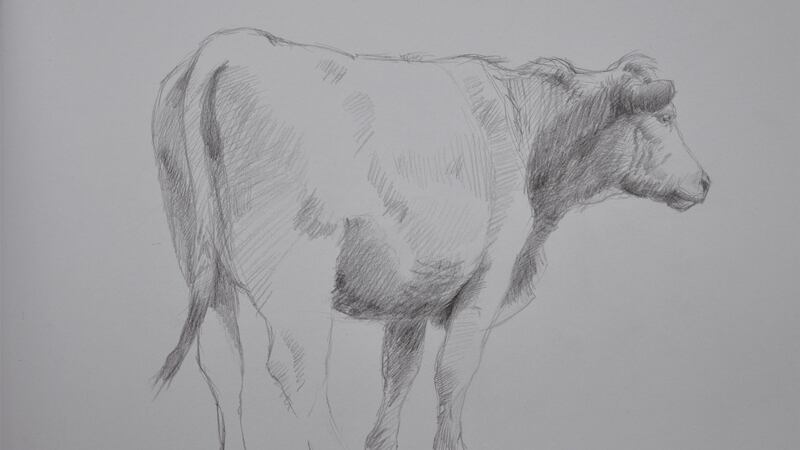 Martin Gale, Bullock (study for ‘Visiting’), 29 x 41cm pencil on paper 2007