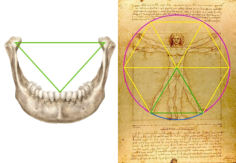 The equilateral triangle made by the figure's legs recall similar proportions in the jaw