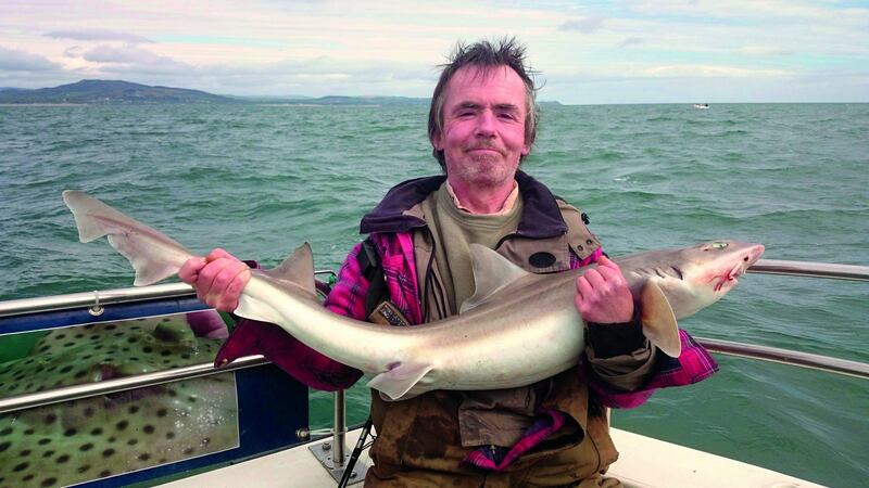 A new record smooth hound of 8.62kg for Garech Murphy while fishing out from Wicklow with charter skipper Kit Dunne