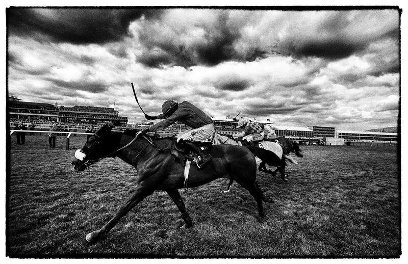 Bryan Cooper riding Benefficient clear the last to win The Jewson Novices' Steeple Chase from Dynaste (centre) during the 2014 Cheltenham Fesstival. Photograph: Alan Crowhurst/Getty Images