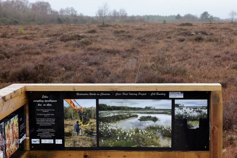The boardwalk trail at Cloncrow was developed and is managed by the Ethos group. Photograph: Alan Betson 