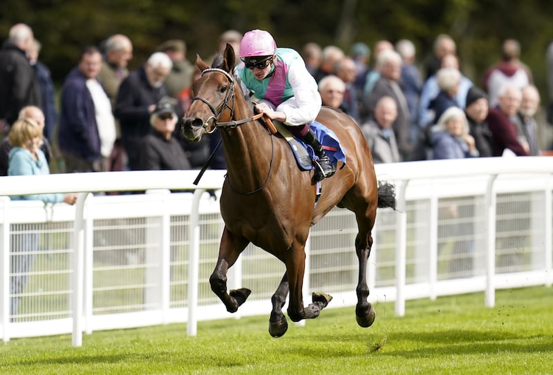 Rob Hornby on Bluestocking last August. Photograph: Andrew Matthews/PA Wire