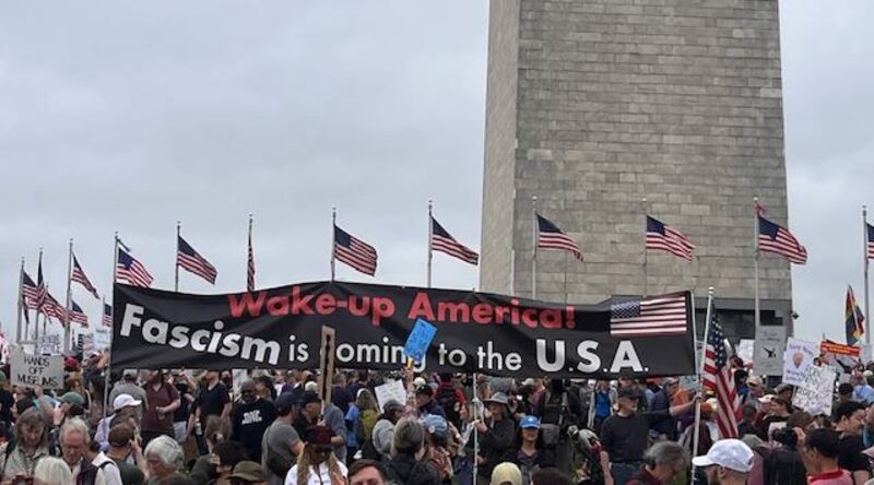 Anti-Trump protests in Washington, DC, on April 5th, 2025. Photograph: Keith Duggan