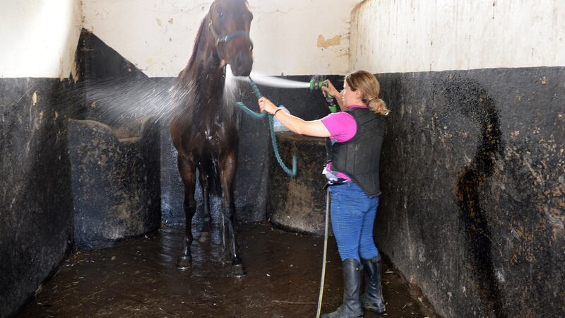 Hazel Wallace, head girl at Tracey Collins yard: “You need to be tough, mentally tough.” Photograph: Dara Mac Dónaill
