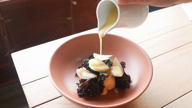 Ricotta dumplings, with Hegarty’s cheddar cheese sauce