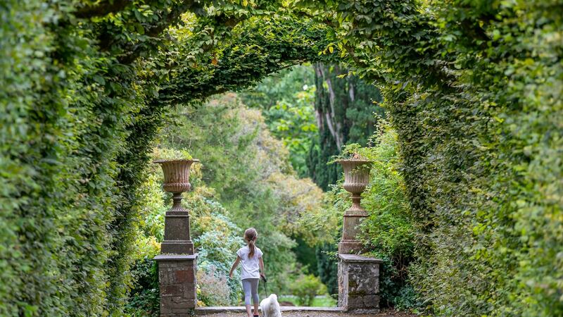 Birr Castle Gardens.