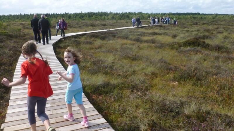 Bog standards: on the boardwalk at Abbeyleix Bog, in Co Laois. Photograph: Bord na Móna