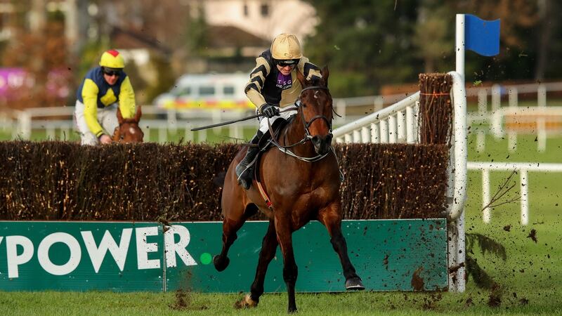 Bellshill struggles at Cheltenham but the Punchestown Gold Cup could be right up his street. Photograph: Ryan Byrne/Inpho.