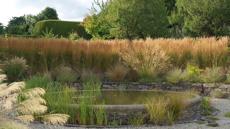 Ornamental grasses in a garden designed by Oliver Schurmann. Photograph: Richard Johnston
