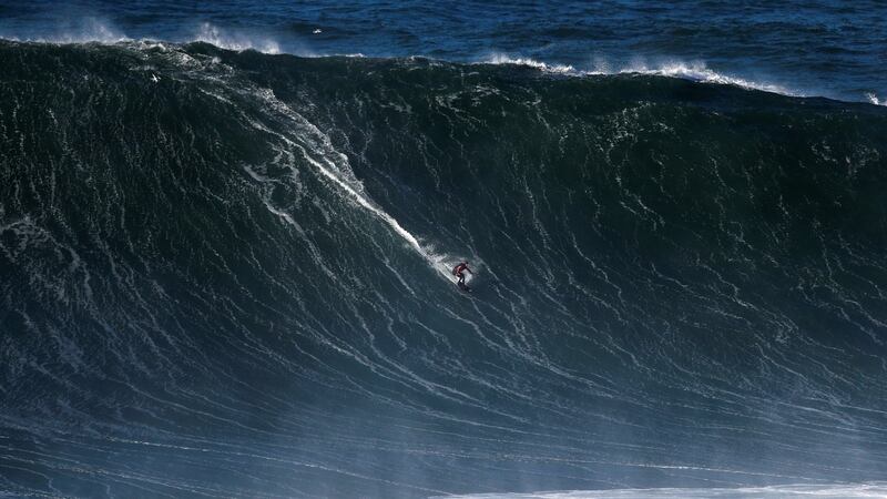 A surfer drops in on a large wave at Praia do Norte in Nazaré, Portugal. Photograph: Rafael Marchante/Reuters