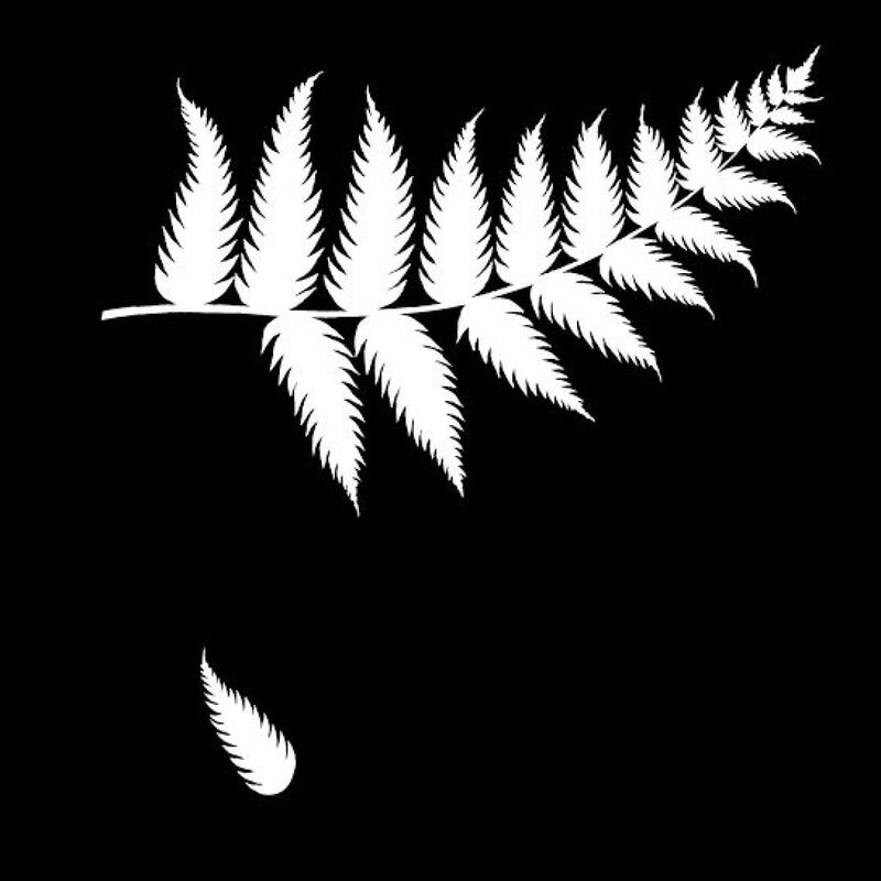 2015: To mark the untimely passing of rugby legend, Jonah Lomu, Chemistry’s Falling Fern ad for the Irish Examiner made headlines globally