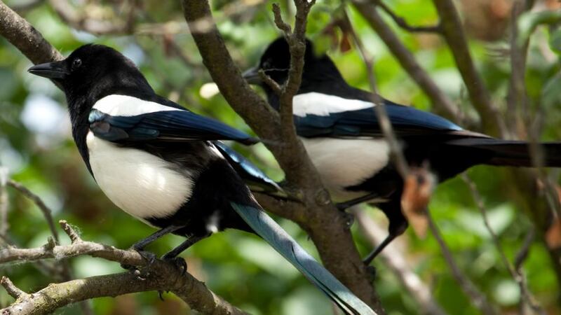 ‘We had fallen by accident into a state of Zen. We were alive and human and sitting in each moment’