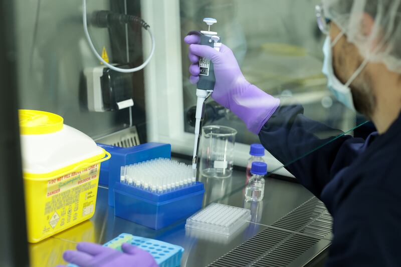 A scientist demonstrates the new DNA testing facilities at Backweston.