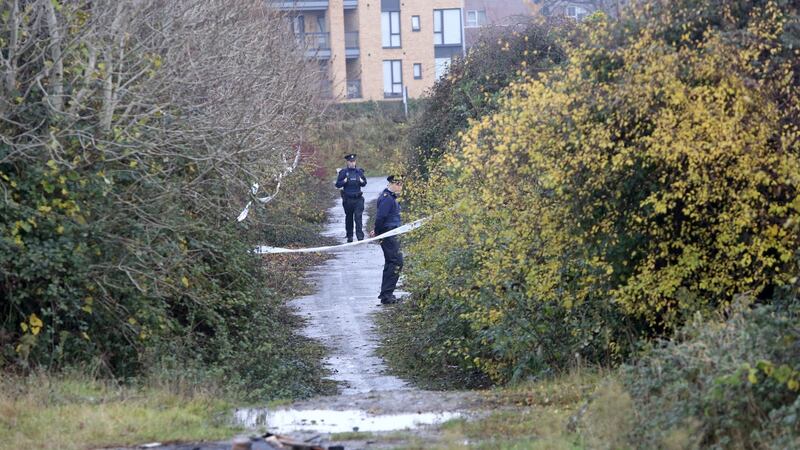 Gardaí are investigating the discovery of a body in  the Balbutcher Lane area of Ballymun.  Photograph: Collins
