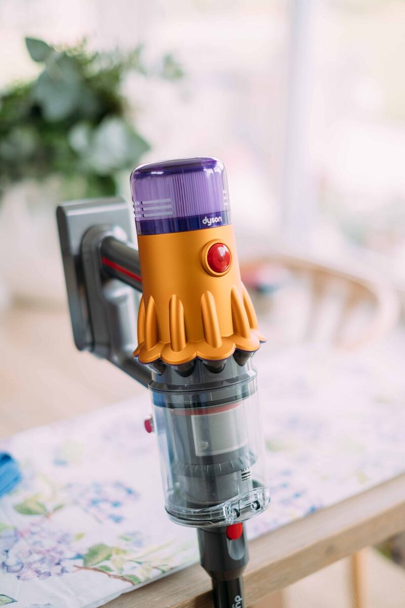 The Dyson V12 Detect Slim is powerful and compact. Photograph: Eamon Ward