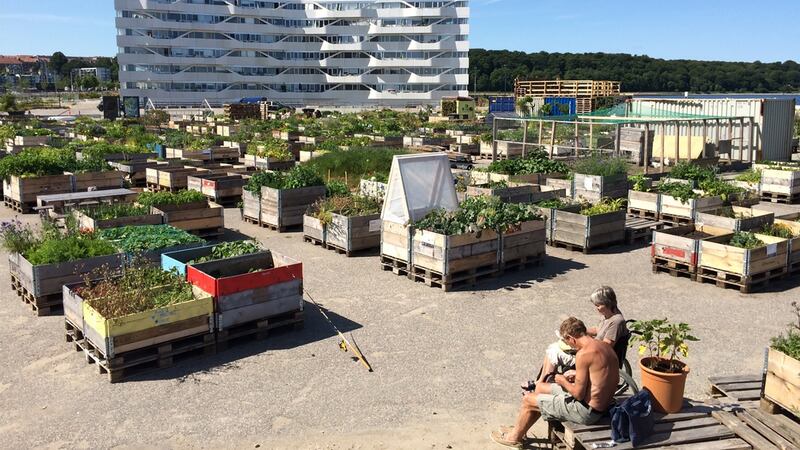 This political consensus culture has several non-negotiables, chief of which is a public housing system that is open to all, not just those on low incomes.