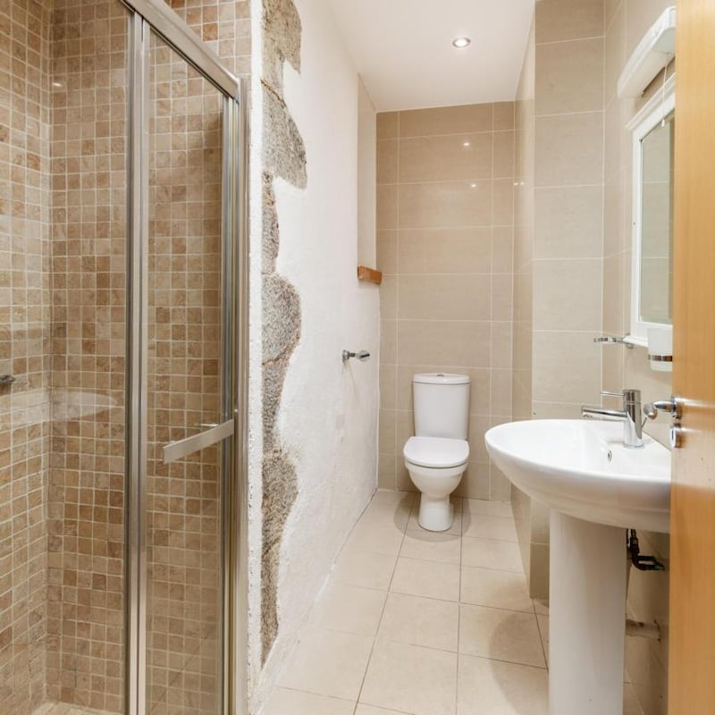 Old College, Abbey Street, Howth, Dublin 13: the shower-room