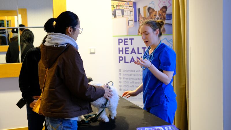 Village Vets give expert advice to pet owners at Hilton Dublin Kilmainham Pet Day event