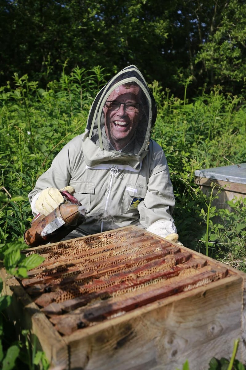 Paul Howard with his bees in Avoca, Co Wicklow. “I find it relaxing to watch bees doing what they do. In the hive there is a constant turnover of life.” Photograph Nick Bradshaw