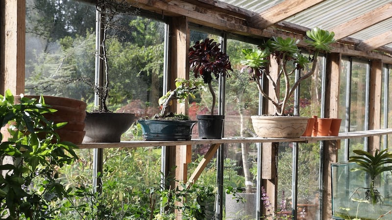 Mount Venus Nursery, Tibradden. Photograph: Nick Bradshaw