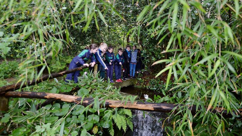 Photograph: Alan Betson