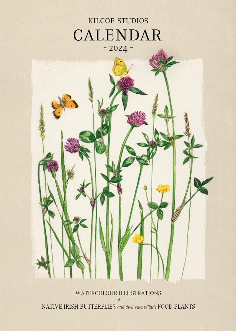 The theme of Kilcoe Studio's 2024 calendar is native Irish butterflies and their food (€16).