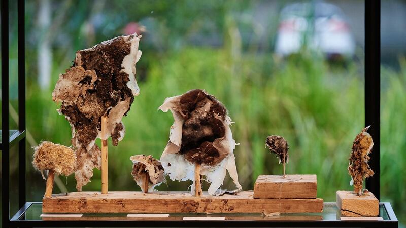 Detail of Materials Library